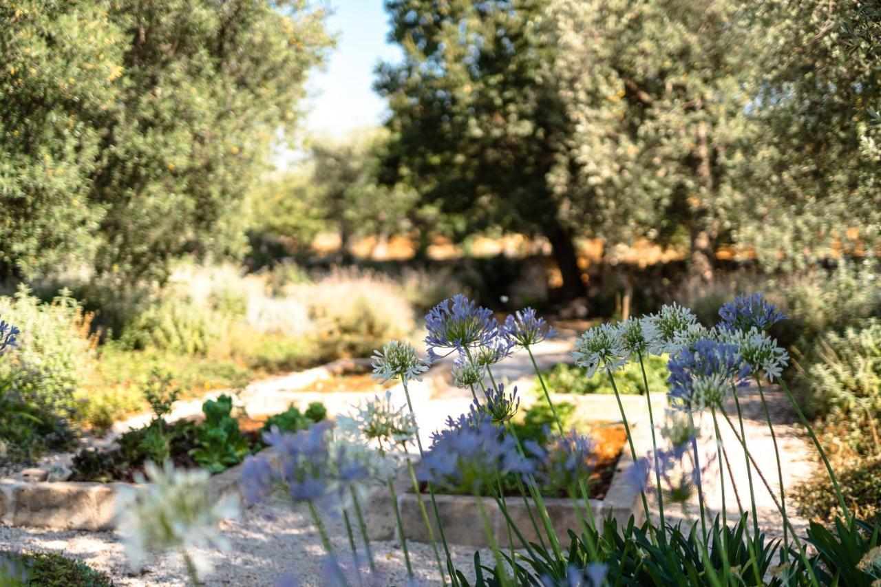 Вилла Trulli Ad Maiora Альберобелло Экстерьер фото