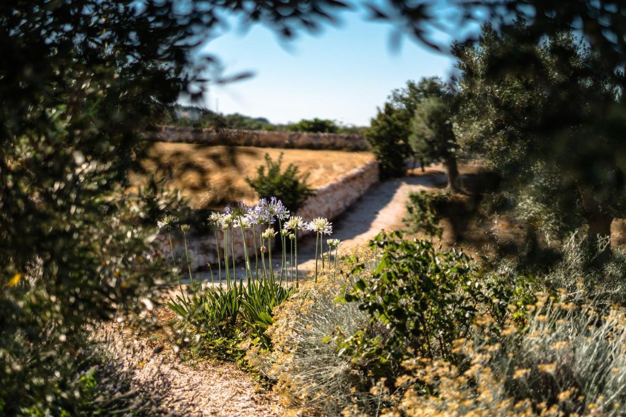Вилла Trulli Ad Maiora Альберобелло Экстерьер фото